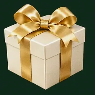 Wrapped gift box — Wild Dice