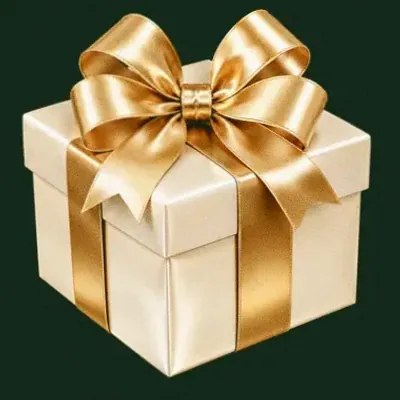 Ribboned gift box — Wild Dice