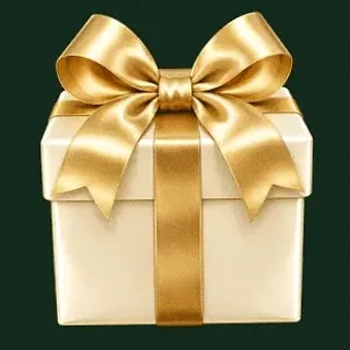 Ribbon gift box — Wild Dice