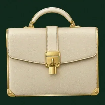 Locked leather briefcase — Wild Dice