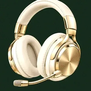 Gaming headset — Wild Dice